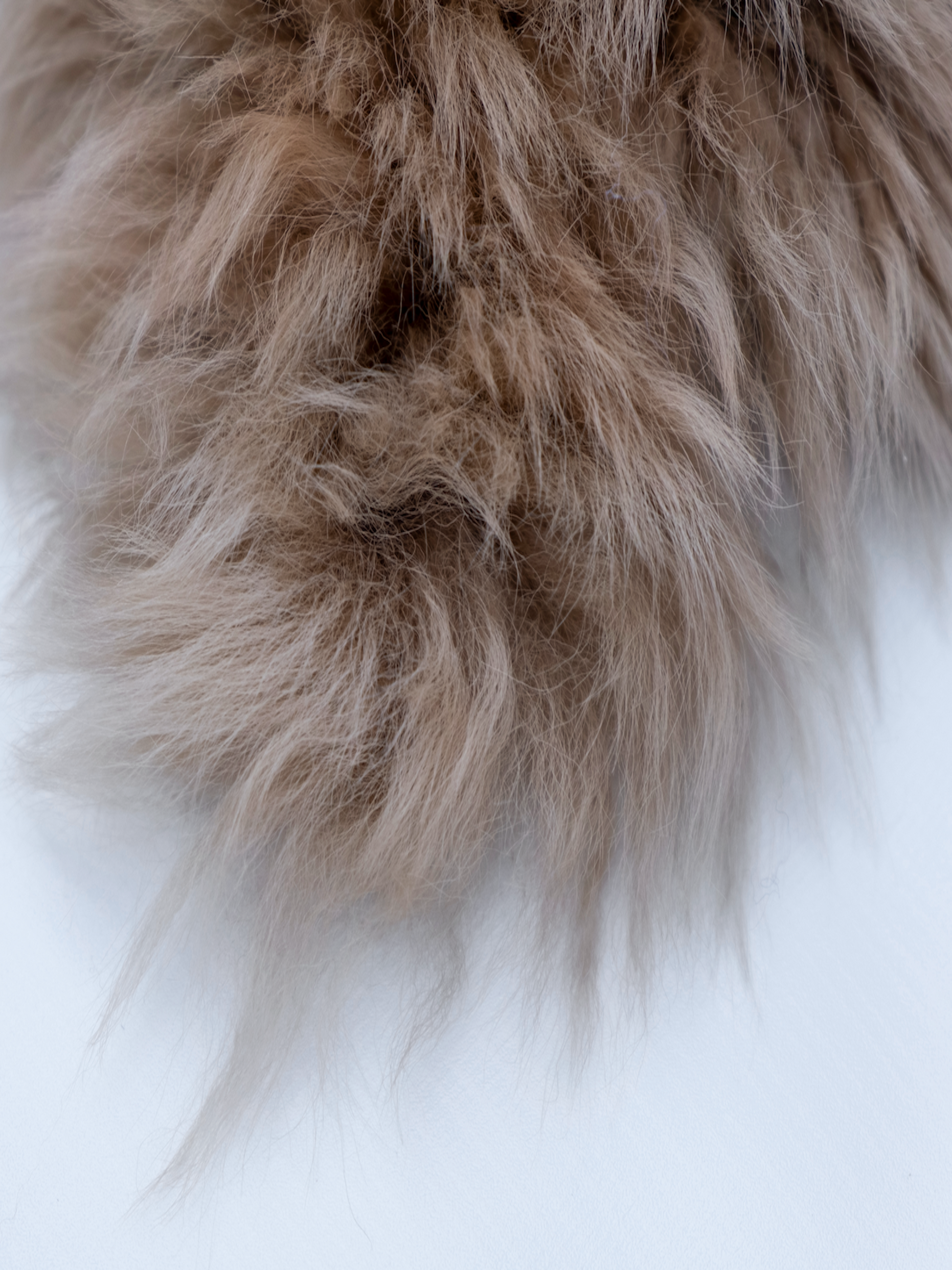 single sheepskin rug, bronze